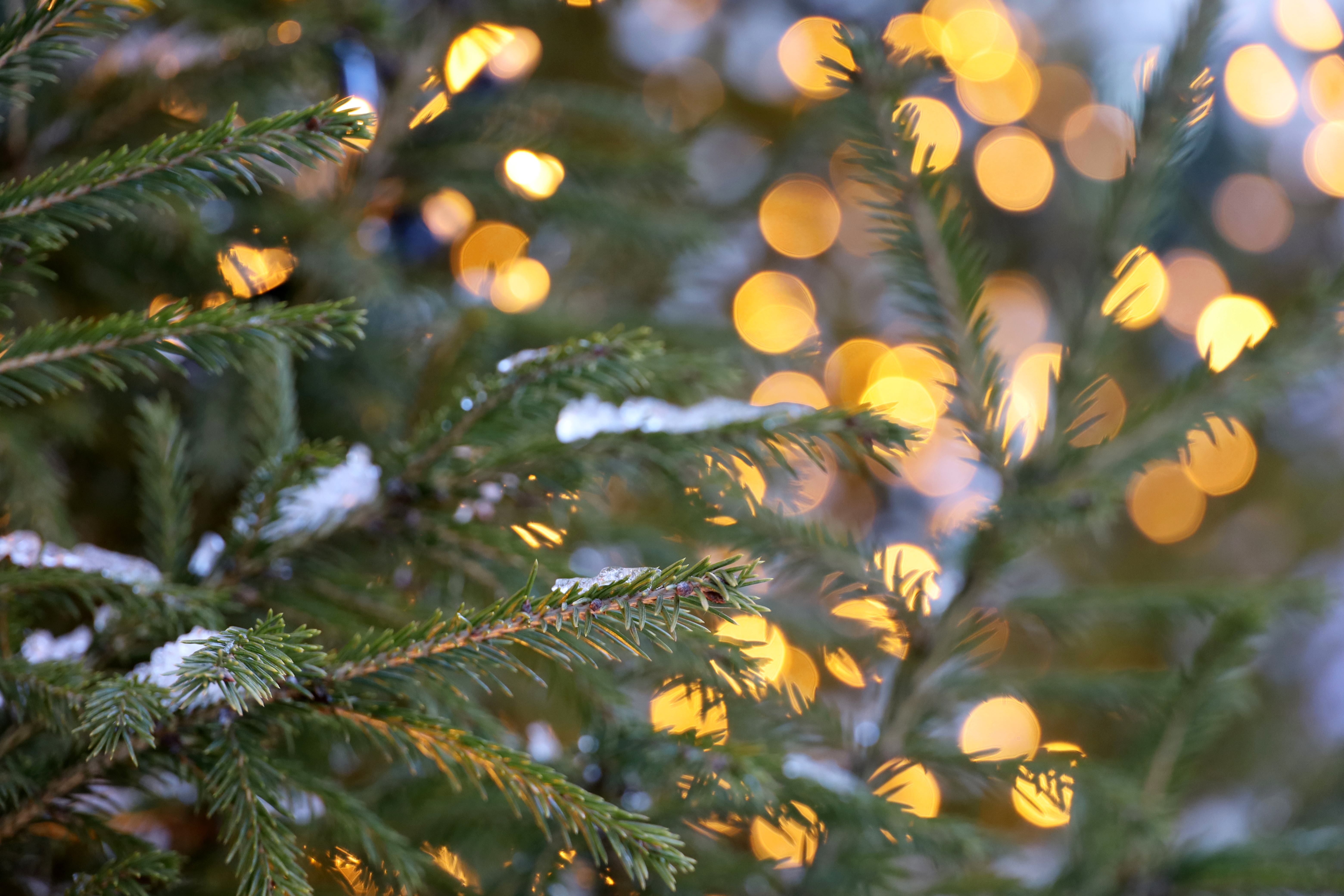 Defocused,View,To,Golden,Lights,Of,Festive,Illumination,On,A