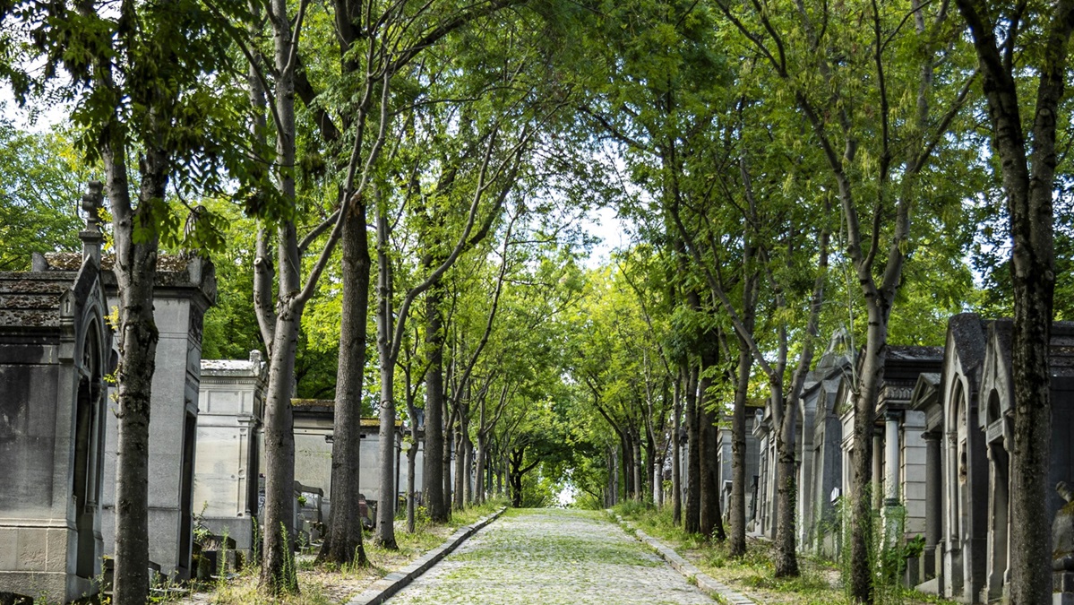 Travel Photos France: Paris, OrlÃAns, Bordeaux, Lusignan, Mont-Saint-Michel, And Normandy.