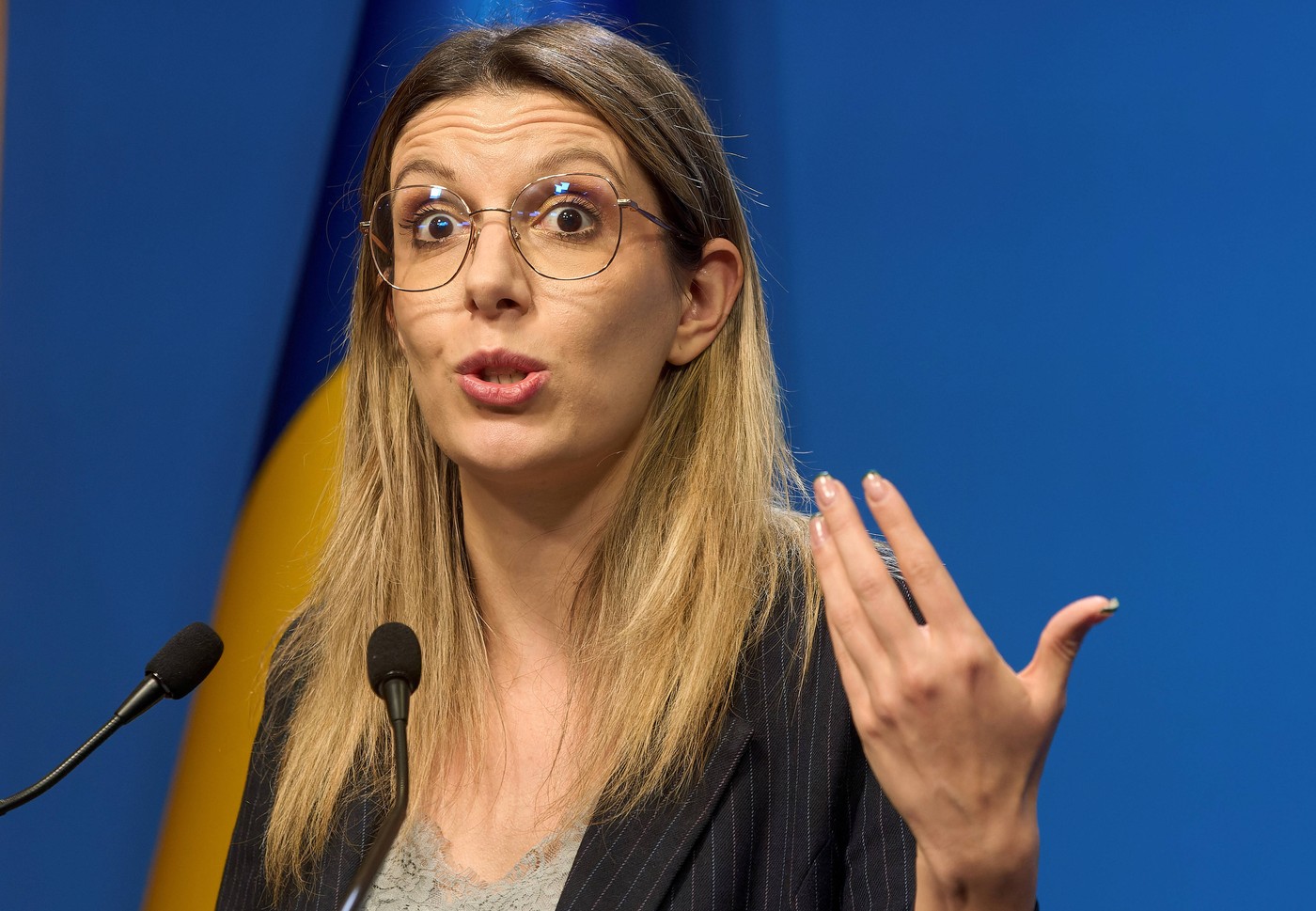 Romanian Minister of Environment, Press Conference, Bucharest, Romania