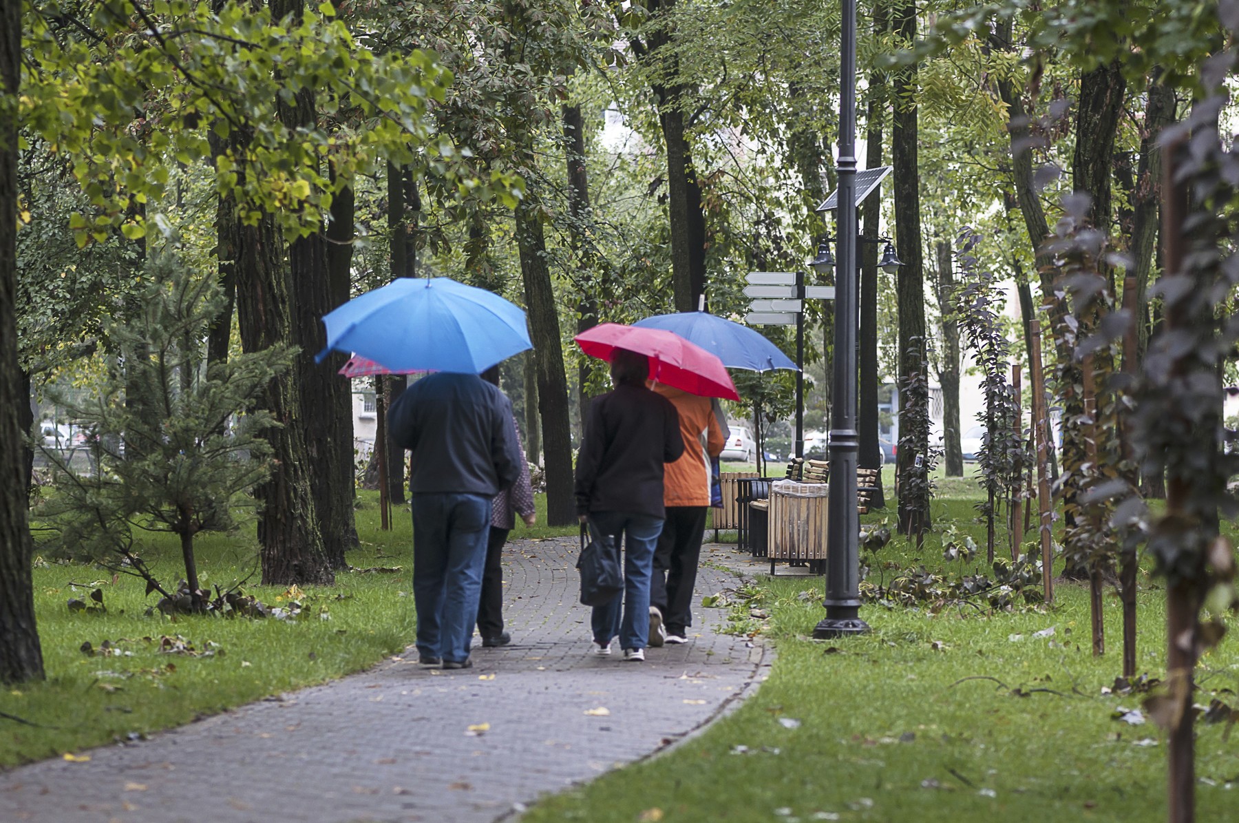ploaie, umbrela, meteo, vremea (2)