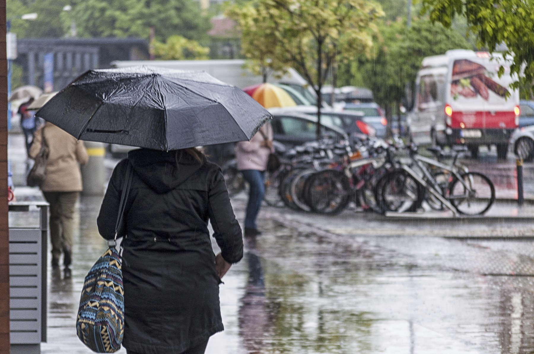 ploaie, umbrela, meteo, vremea (3)