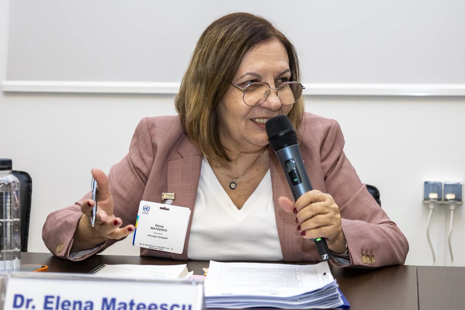 elena mateescu