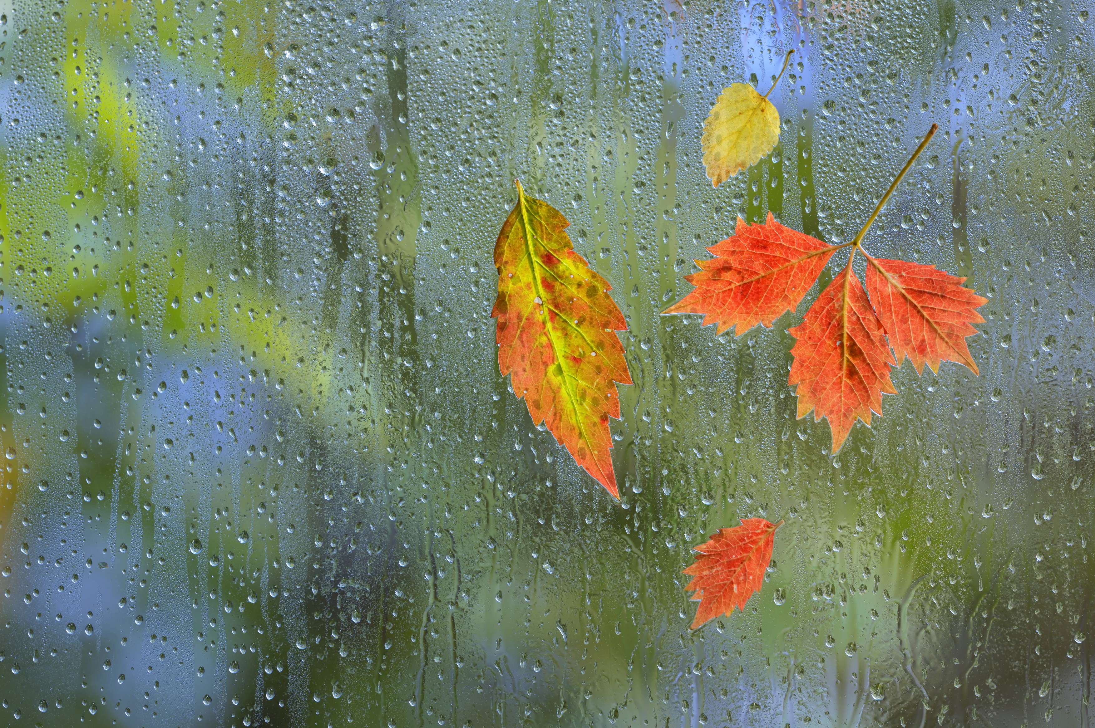 meteo (8)